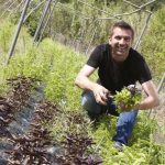 Un jardinier en cuisine