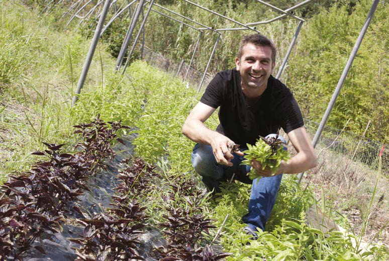 Un jardinier en cuisine