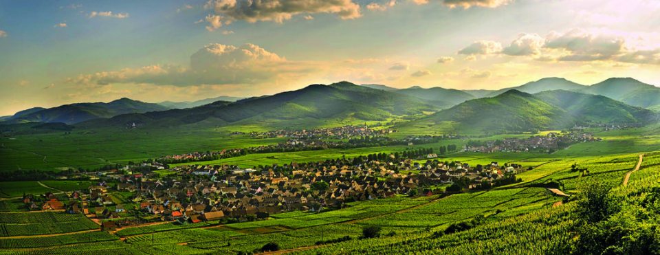 Photos © Domaine Paul Blanck