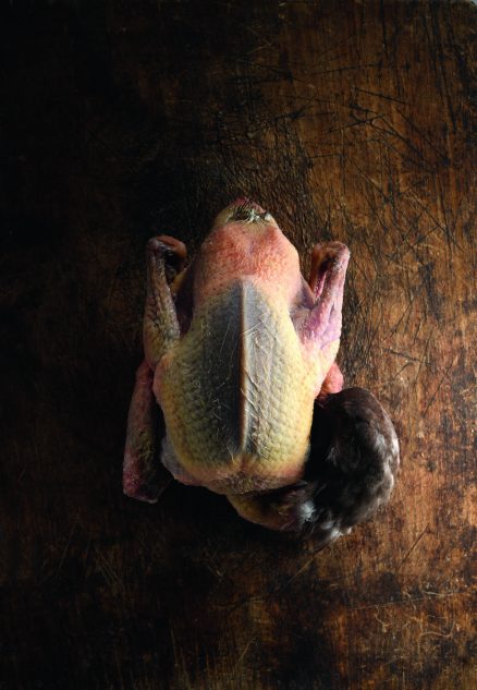 Verveine fraîche de la maison Auda Automne 2019