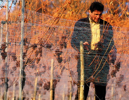 Photos © Domaine Cahaupé