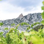 Domaine du Vieux Solitaire – Maury (66) : Un vin de confidences