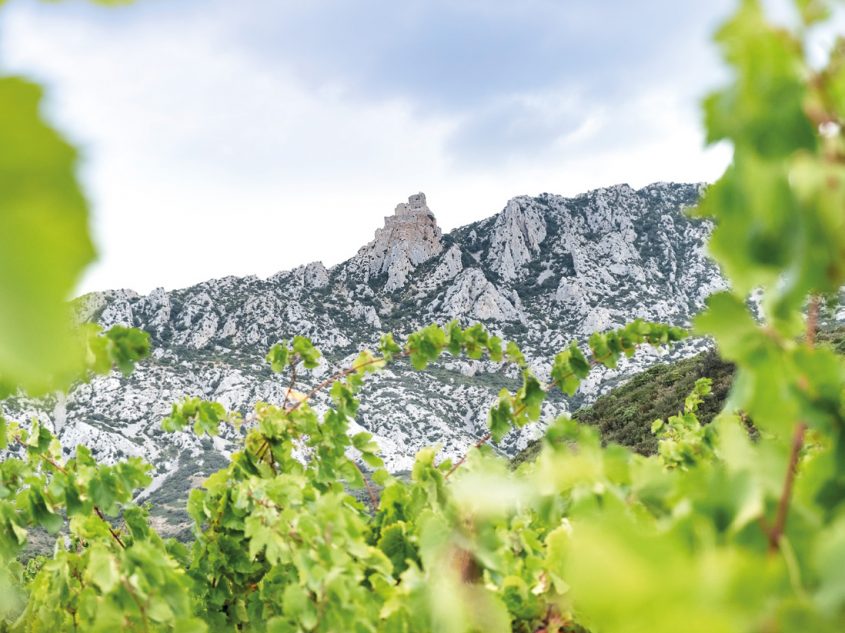 Photos Photos © Domaine du Vieux Solitaire