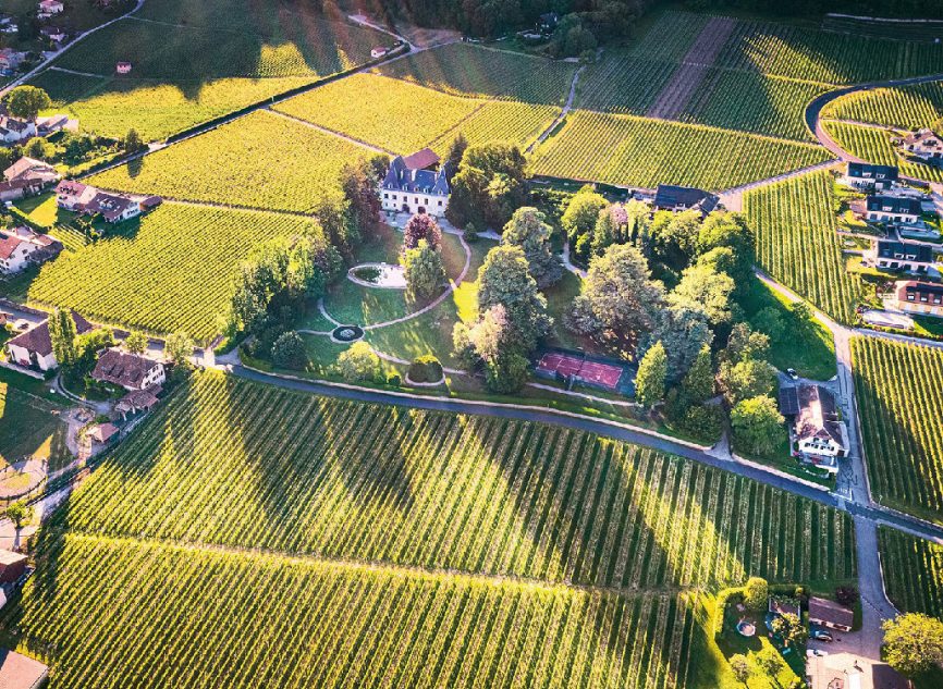 Photos © Domaine Saint-vincent/R. Colombo/A. Lamy