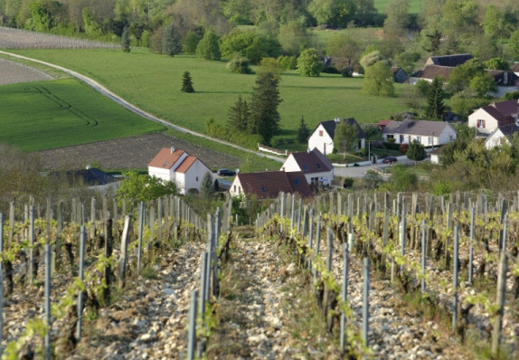 Photos © Domaine Isabelle et Denis Pommier, sauf DR