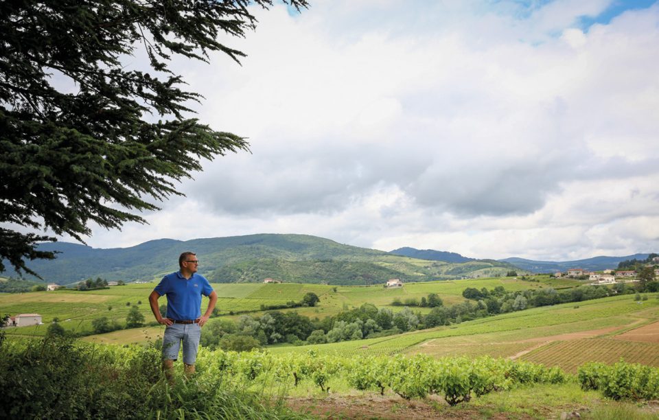 Photos © Domaine Piron