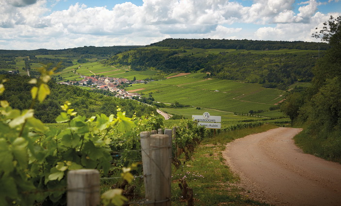 Photos © Domaine Roux Père & Fils