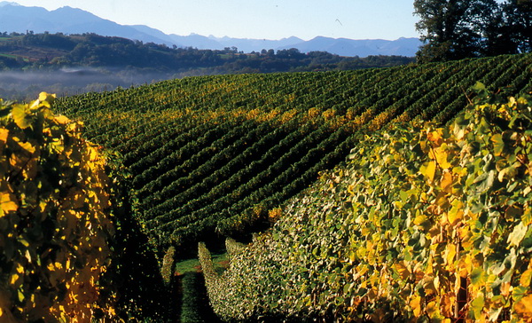 Photos © Domaine Cauhapé
