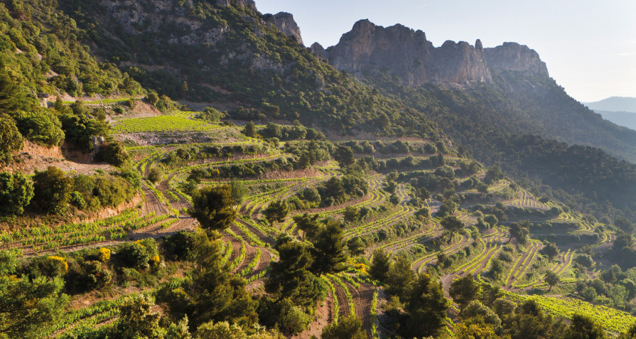 Photos © Domaine Brusset