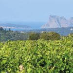Domaine de l’Olivette : Jean-Luc Dumoutier, un passionné généreux et des vins sincères