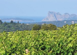 Domaine de l’Olivette : Jean-Luc Dumoutier, un passionné généreux et des vins sincères