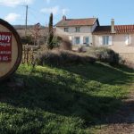 Domaine Franck Chavy : Les beaujolais d’exception