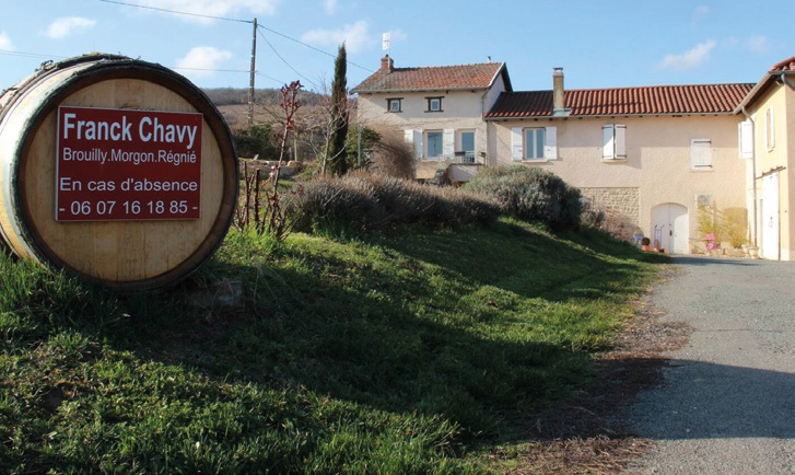 Domaine Franck Chavy : Les beaujolais d’exception