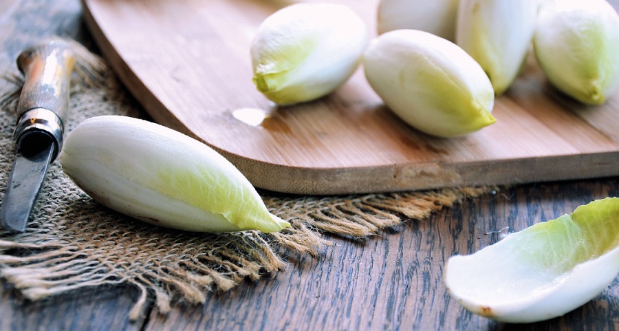 L’endive, L’amère du Nord, douceur hivernale