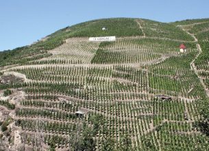 Domaine Vidal-Fleury : La maison Vidal-Fleury, négociant-éleveur spécialiste de la vallée du Rhône du nord au sud