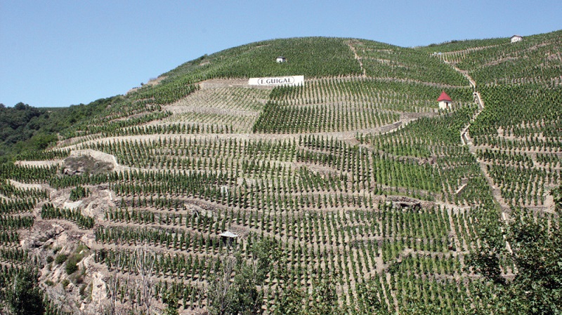 Domaine Vidal-Fleury : La maison Vidal-Fleury, négociant-éleveur spécialiste de la vallée du Rhône du nord au sud