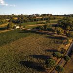 Domaine Château Mangot et Château La Brande : les vins d’auteurs de la famille Todeschini sur la rive droite bordelaise