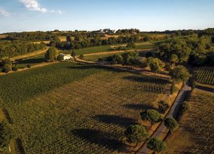 Domaine Château Mangot et Château La Brande : les vins d’auteurs de la famille Todeschini sur la rive droite bordelaise