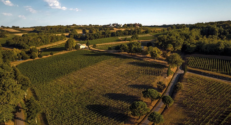 Domaine Château Mangot et Château La Brande : les vins d’auteurs de la famille Todeschini sur la rive droite bordelaise