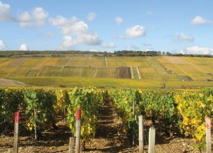 Domaine Daniel-Étienne Defaix : Gloire au chablis