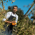 Réouverture du Champ des Lunes sous la houlette de Guillaume Goupil