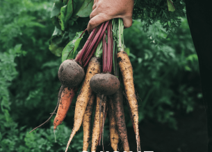 « La Cuisine végétale de référence », nouvel ouvrage inédit et complet au service des chefs