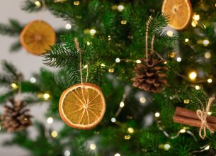 La newsletter Le Chef vous souhaite de bonnes fêtes et revient le 10 janvier
