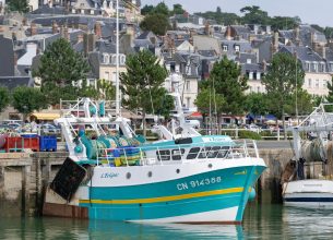 « Les Français et les idées reçues sur la pêche française », nouvelle étude d’Opinion Way