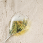 Ruinart Sommelier Challenge : les inscriptions sont ouvertes !