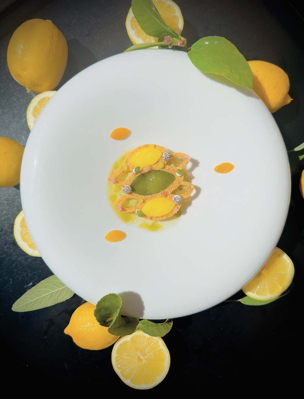 Citron Meyer