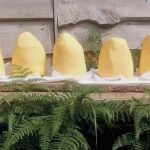 Le beurre, générateur de saveurs