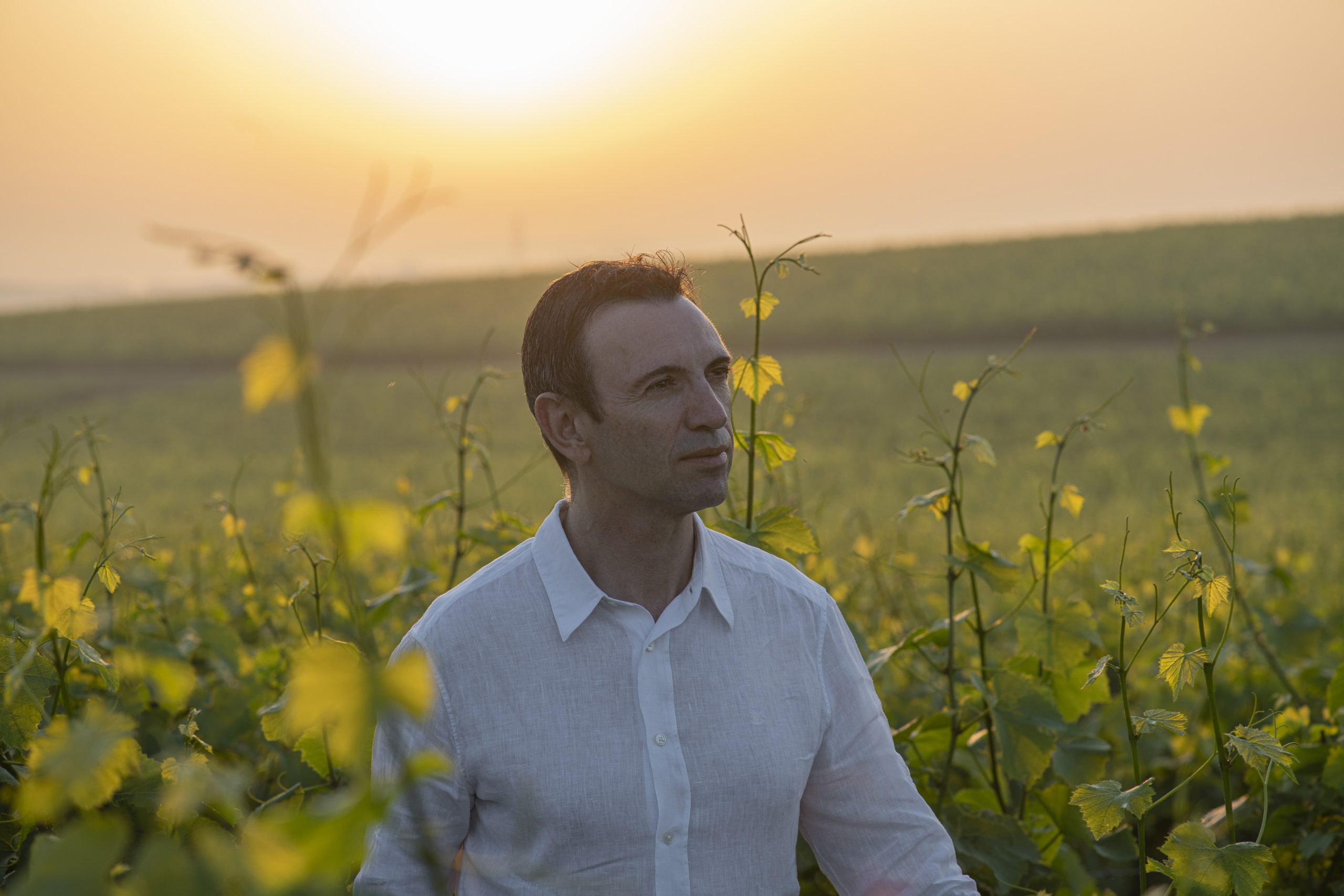 Décès du chef de cave de la maison Ruinart, Frédéric Panaïotis