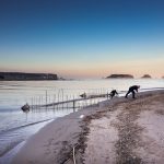 Relais & Châteaux renforce son engagement pour la biodiversité marine