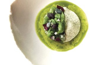 Raviole herbes et concombre