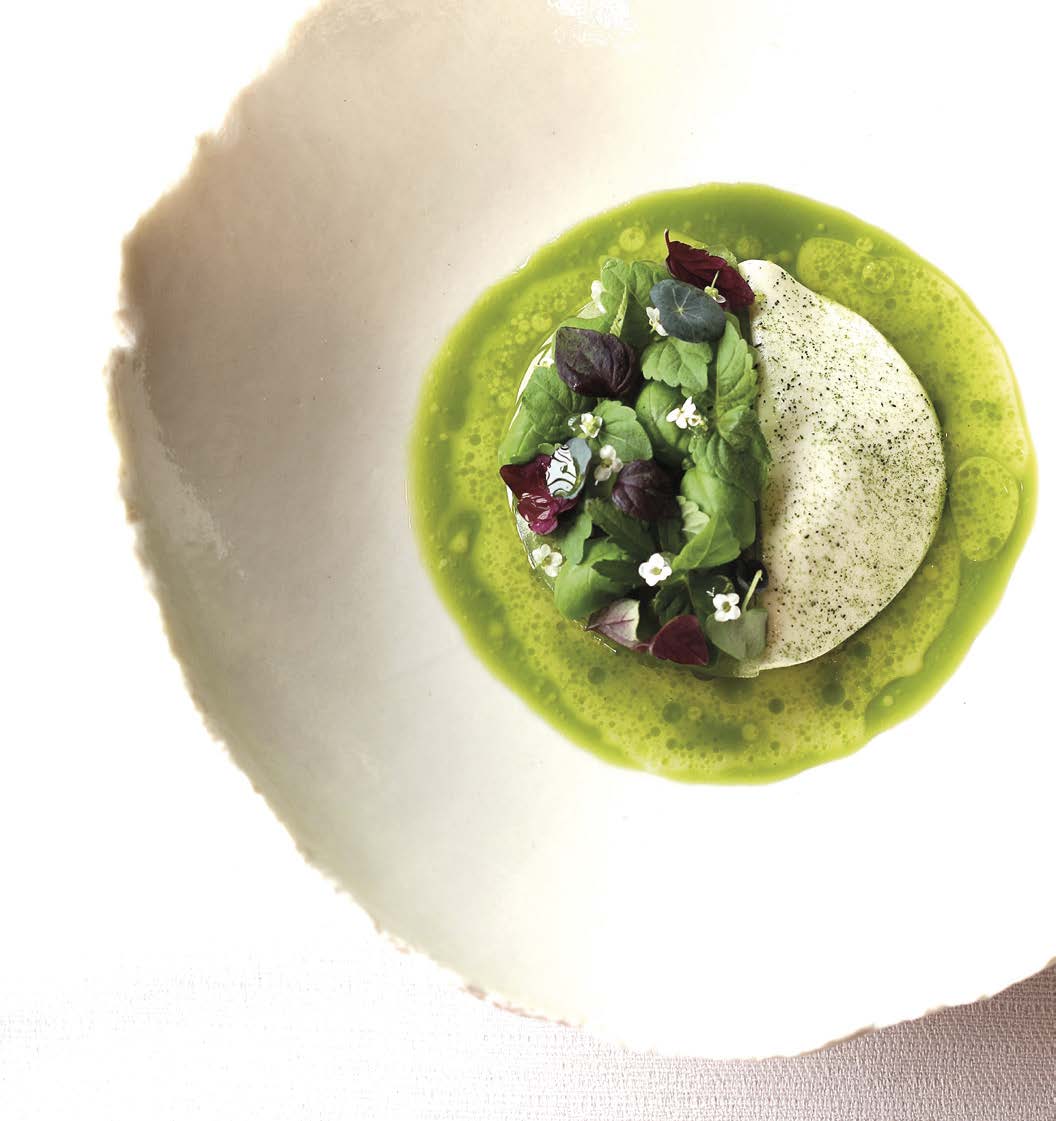 Raviole herbes et concombre
