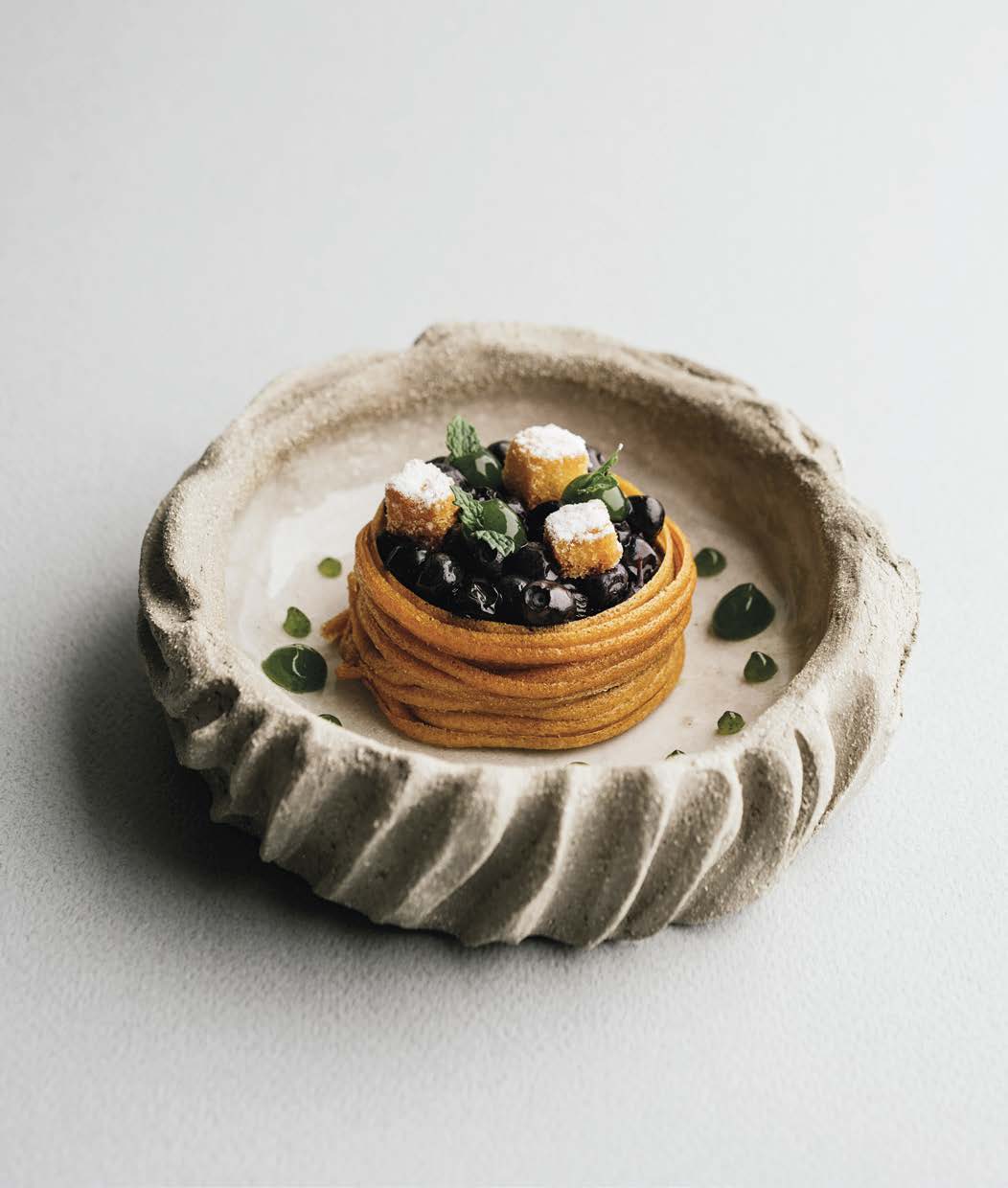 Myrtille aux 130 plantes