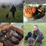 Christophe Hay sublime le diamant noir ligérien