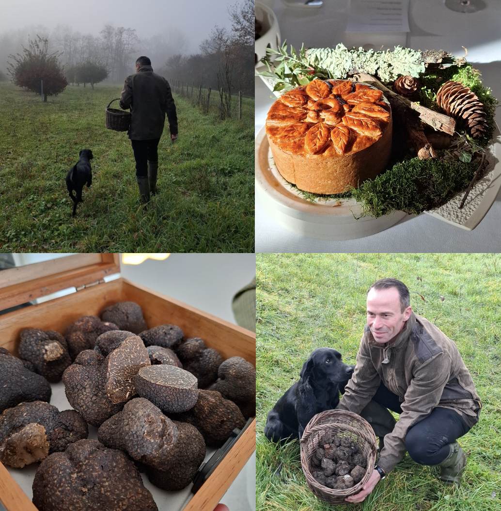 Christophe Hay sublime le diamant noir ligérien