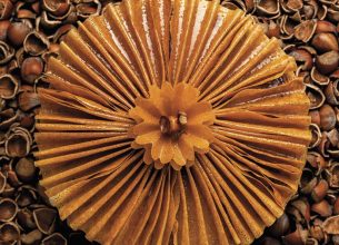 Galette des Rois « Fleur de Noisette » (vente à emporter/La Pagode de Cos)