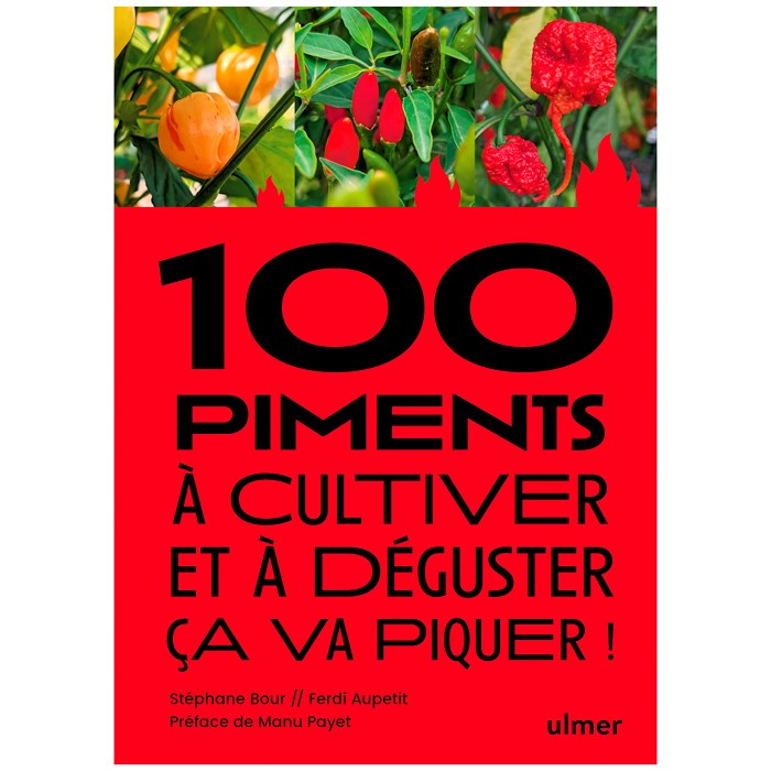 Un guide complet pour explorer le piment, de la culture à l’assiette