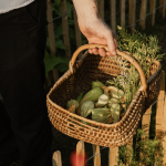 La Chapelle Saint Martin célèbre les producteurs locaux avec son “Marché des Talents”