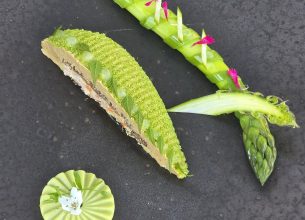 Maison Rougié dévoile les lauréats de son premier Concours Digital des Chefs