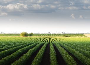 TRIBUNE – Entre compétitivité et souveraineté : cultivons le goût d’une véritable indépendance