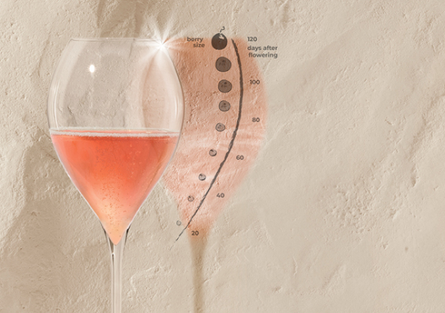  Le Ruinart Sommelier Challenge 2026 mettra le champagne rosé à l’honneur