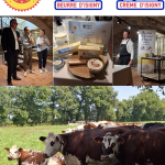 L’AOP beurre et crème d’Isigny fête ses 40 ans !
