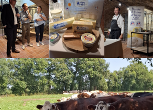 L’AOP beurre et crème d’Isigny fête ses 40 ans !