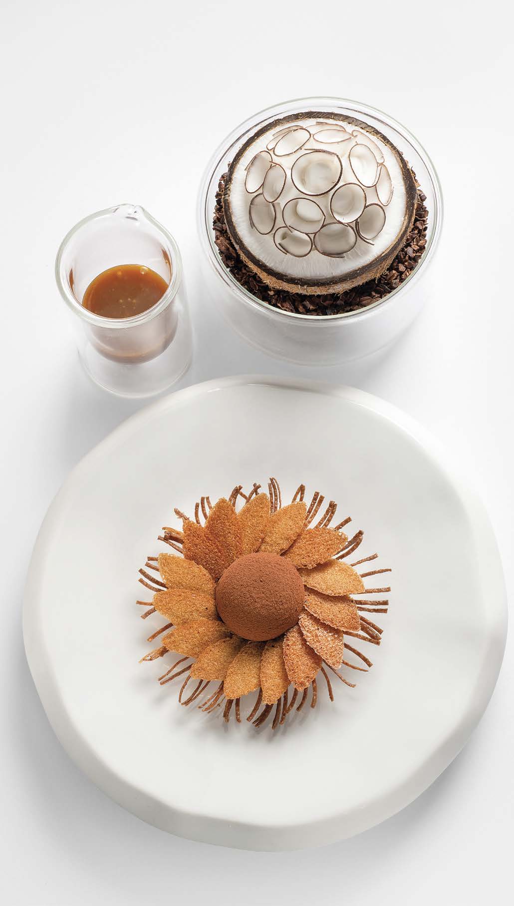 Tarte fine au chocolat Ativao de Weiss et noix de coco givrée