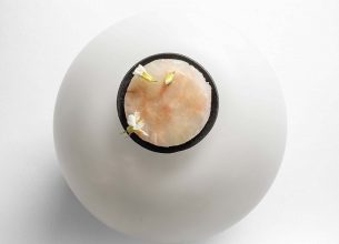 Céleri-rave mijoté, roquette sauvage, langoustine